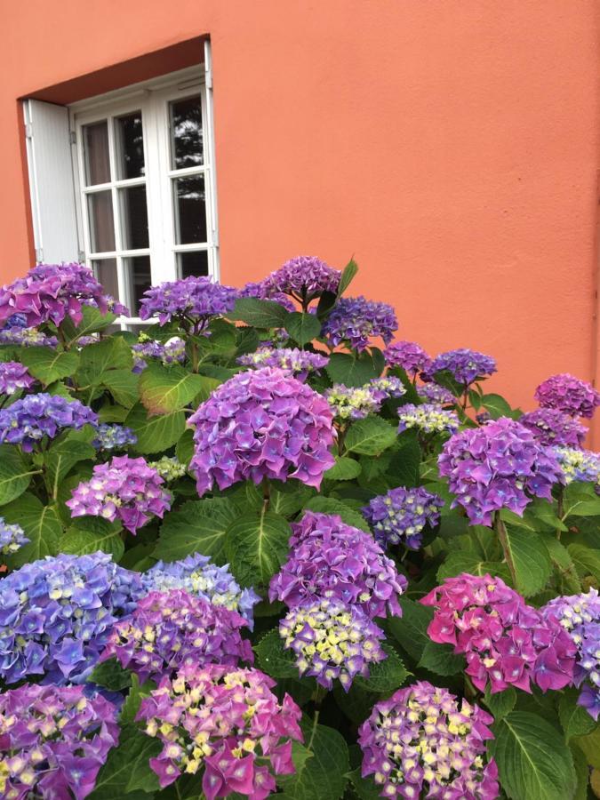 Hotel La Belle Etoile Thouaré-sur-Loire Buitenkant foto